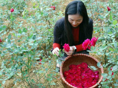Ảnh bìa bài viết 433678