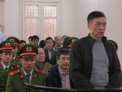 Ảnh bìa bài viết 433893