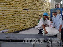 Ảnh bìa bài viết 433700