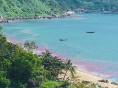 Ảnh bìa bài viết 434256
