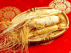 Ảnh bìa bài viết 434516