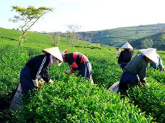 Ảnh bìa bài viết 434437