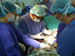 Ảnh bìa bài viết 434387