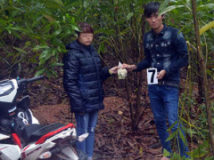 Ảnh bìa bài viết 434503