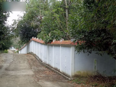 Ảnh bìa bài viết 435273