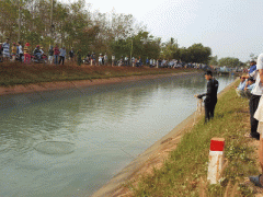Ảnh bìa bài viết 435366