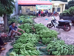 Ảnh bìa bài viết 435304