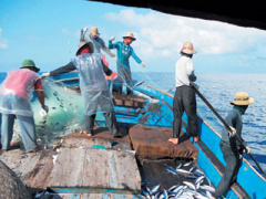 Ảnh bìa bài viết 435343