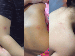 Ảnh bìa bài viết 435377