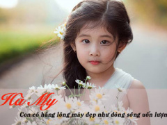 Ảnh bìa bài viết 435564