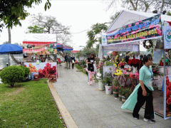 Ảnh bìa bài viết 435840