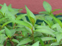 Ảnh bìa bài viết 436025