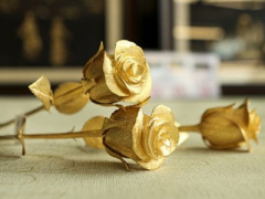 Ảnh bìa bài viết 436152