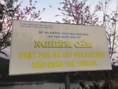 Ảnh bìa bài viết 436251