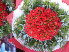 Ảnh bìa bài viết 436483