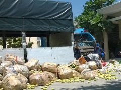 Ảnh bìa bài viết 436437