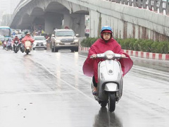 Ảnh bìa bài viết 436687