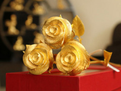 Ảnh bìa bài viết 436585