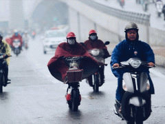 Ảnh bìa bài viết 436566