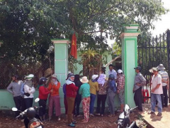 Ảnh bìa bài viết 436812