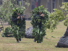 Ảnh bìa bài viết 436690