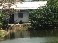Ảnh bìa bài viết 437017