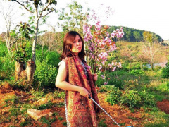 Ảnh bìa bài viết 437080