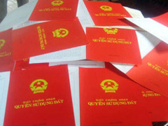 Ảnh bìa bài viết 436935