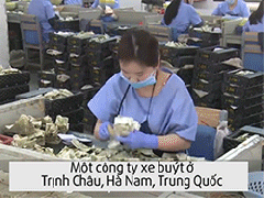Ảnh bìa bài viết 436947