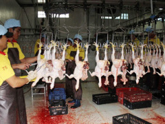 Ảnh bìa bài viết 437252