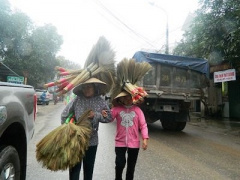 Ảnh bìa bài viết 437416