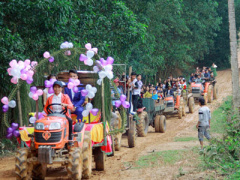 Ảnh bìa bài viết 437407