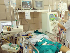 Ảnh bìa bài viết 437431