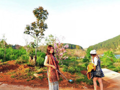 Ảnh bìa bài viết 437418