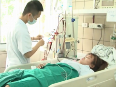 Ảnh bìa bài viết 437414
