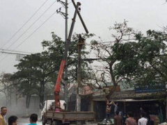 Ảnh bìa bài viết 437596