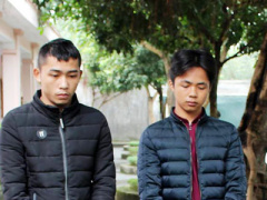 Ảnh bìa bài viết 437560