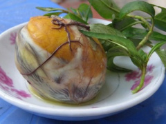 Ảnh bìa bài viết 437501