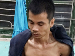 Ảnh bìa bài viết 437846