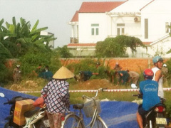 Ảnh bìa bài viết 437636
