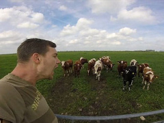 Ảnh bìa bài viết 437653