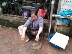Ảnh bìa bài viết 438015