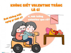Ảnh bìa bài viết 437969