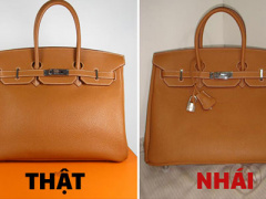 Ảnh bìa bài viết 438433
