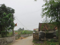 Ảnh bìa bài viết 438461