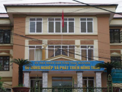 Ảnh bìa bài viết 438295