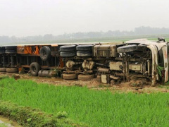 Ảnh bìa bài viết 438449
