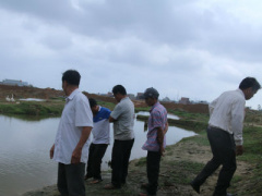 Ảnh bìa bài viết 438715