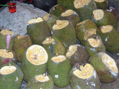 Ảnh bìa bài viết 438631
