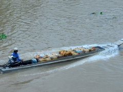 Ảnh bìa bài viết 438969
